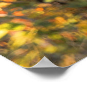 セントラルパーク秋:ロミオ&ジュリエット像01 ポスター (角)