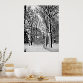 セントラルパーク2010雪 – CIMG6447-a ポスター (キッチン)