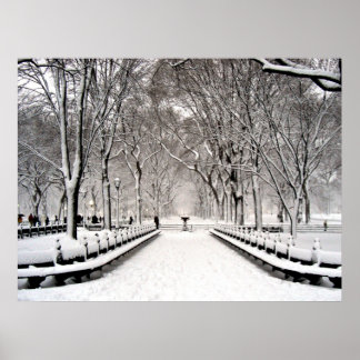 セントラルパーク2010雪 – CIMG6496 ポスター