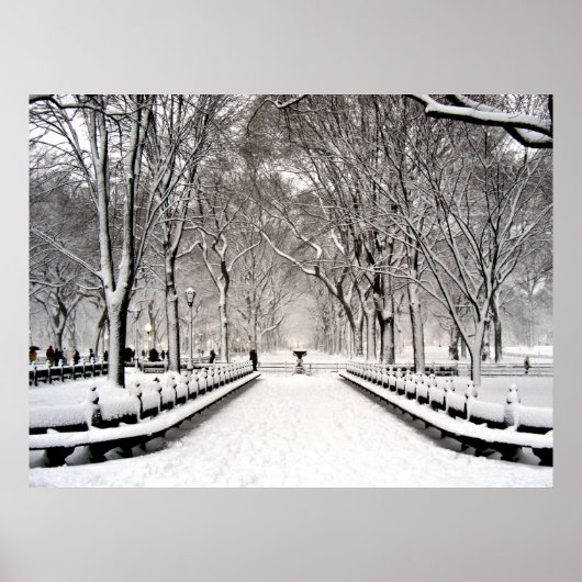 セントラルパーク2010雪 – CIMG6496 ポスター (正面)