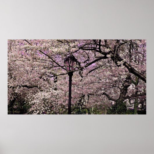 セントラルパーク ポスター (正面)