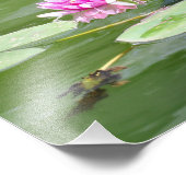 セントラルパーク「リリパッド」 フォトプリント            (角)