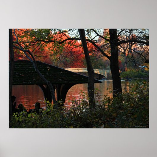 セントラルパーク:Bow Bridgeからの会話 ポスター (正面)