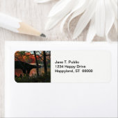 セントラルパーク:Bow Bridgeからの会話 ラベル (インサイチュ)