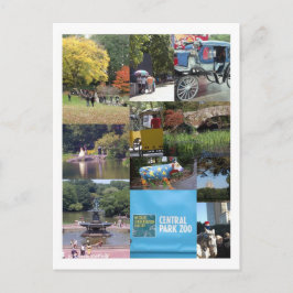 セントラルパーク – NYCポストカード ポストカード