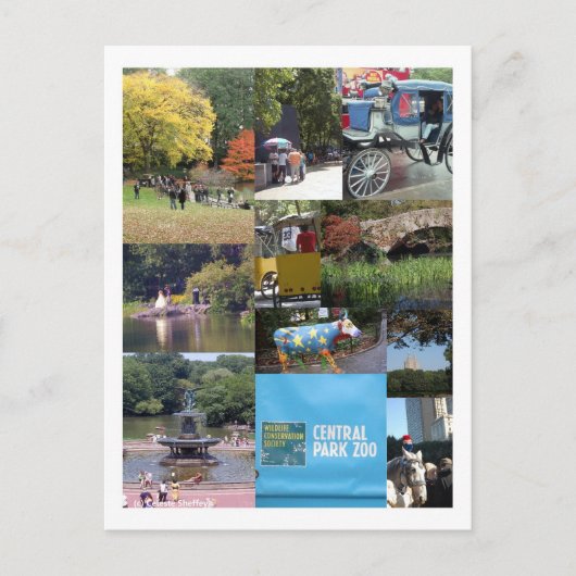 セントラルパーク – NYCポストカード ポストカード (正面)
