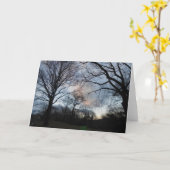 セントラルパークB カード (黄色い花)