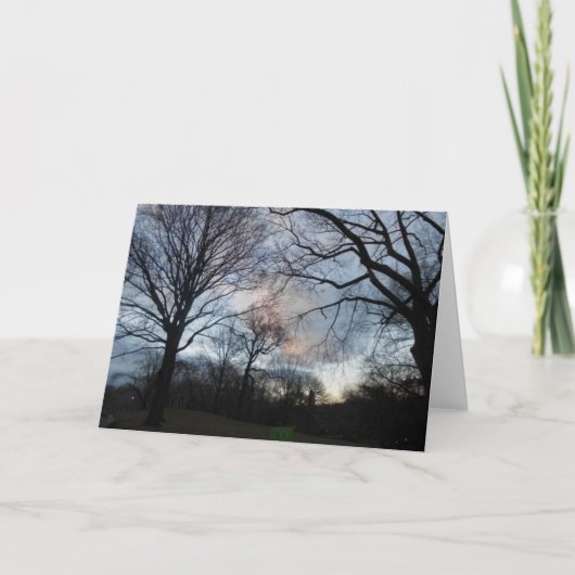 セントラルパークB カード (正面)