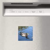 セントラルパークNYCコンサバトリーウォーターマラードダック マグネット (インサイチュ (食洗機))