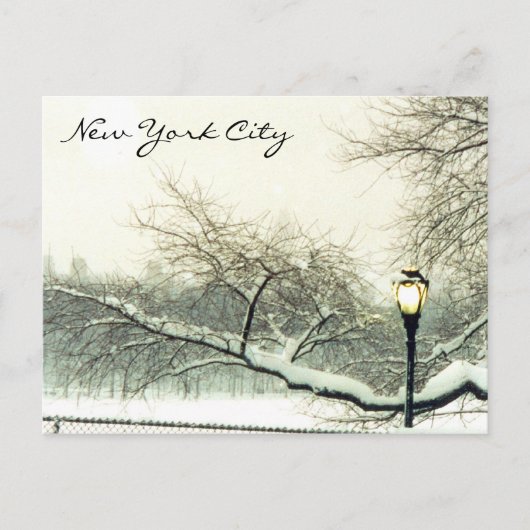 セントラルパークnyc ポストカード (正面)