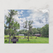 セントラルフロリダホームステッド シーズンポストカード (正面)