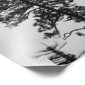 セントラル・オレゴン・パインズ黒白 フォトプリント            (角)