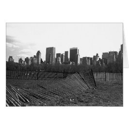 セントラル・パークからのニューヨークシティのスカイライン