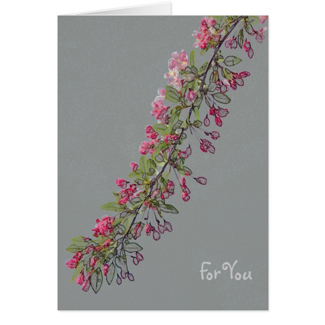 セントラル・パークからのCrabappleの花 (正面)