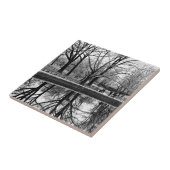 セントラル・パークの写真、NYC タイル (側面)