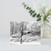 セントラル・パークの冬の雪の景色の写真 ポストカード (スタンド正面)