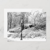 セントラル・パークの冬の雪の景色の写真 ポストカード (正面/裏面)