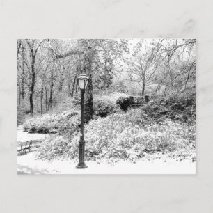 セントラル・パークの冬の雪の景色の写真 ポストカード