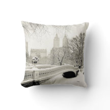 セントラル・パークの冬-弓橋の雪