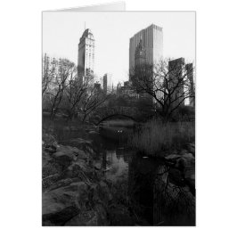 セントラル・パークの南スカイラインNYC