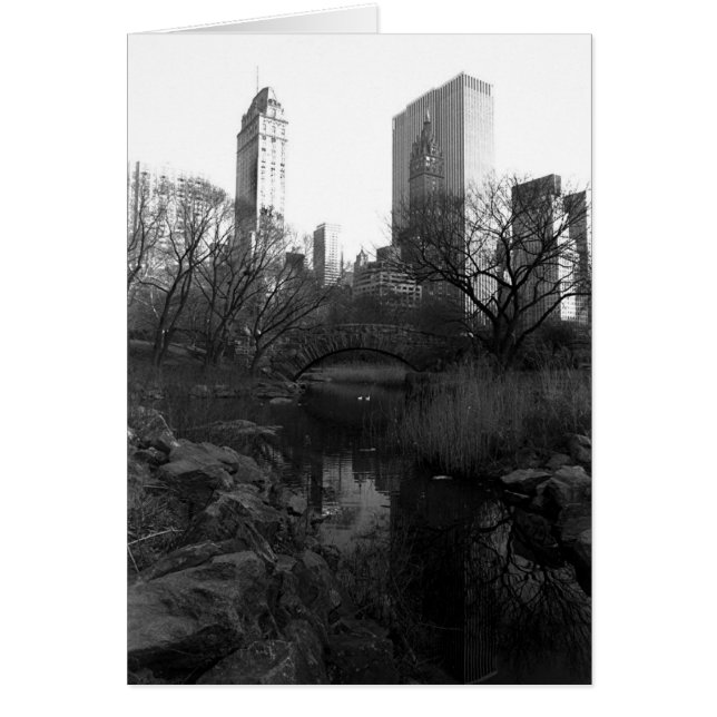 セントラル・パークの南スカイラインNYC (正面)