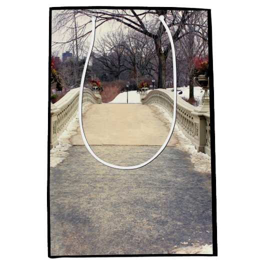 セントラル・パークの弓橋写真 ミディアムペーパーバッグ (正面)