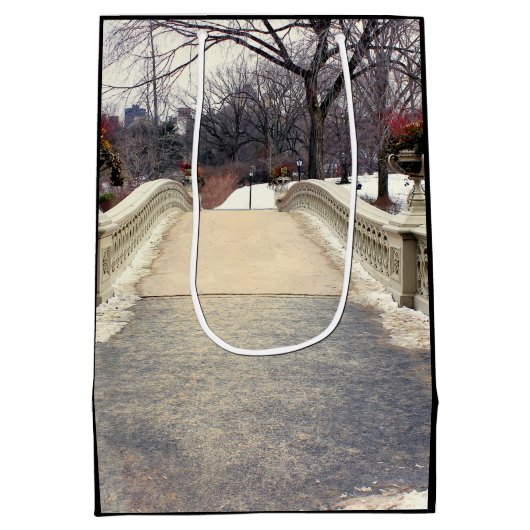 セントラル・パークの弓橋写真 ミディアムペーパーバッグ (裏面)