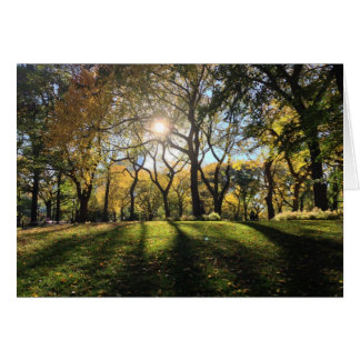 セントラル・パークの日光