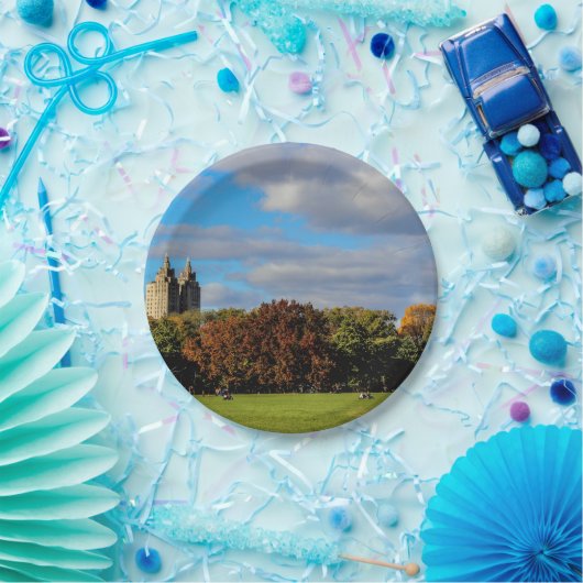 セントラル・パークの景色の写真 ペーパープレート (パーティー)