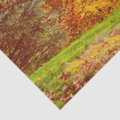 セントラル・パークの秋の秋の景色の写真 薄葉紙 (詳細)