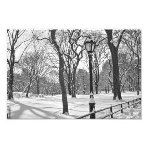 セントラル・パークの降雪B&W フォトプリント           