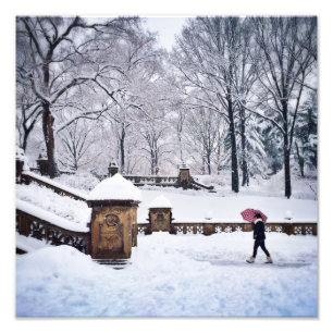 セントラル・パークの雪で覆われた階段 フォトプリント           