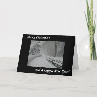 セントラル・パークの雪 シーズンカード