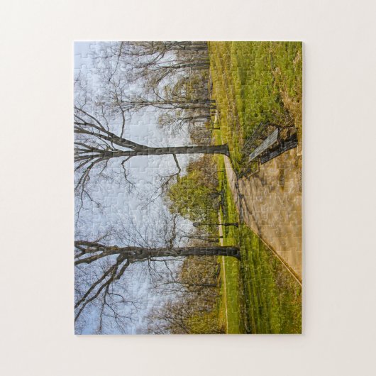 セントラル・パーク・ニューヨークの抽象芸術写真。 ジグソーパズル (縦)