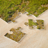 セントラル・パーク・ニューヨークの抽象芸術写真。 ジグソーパズル (側面)