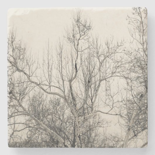 セントラル・パークNYCの冬の霧の写真 ストーンコースター (正面)