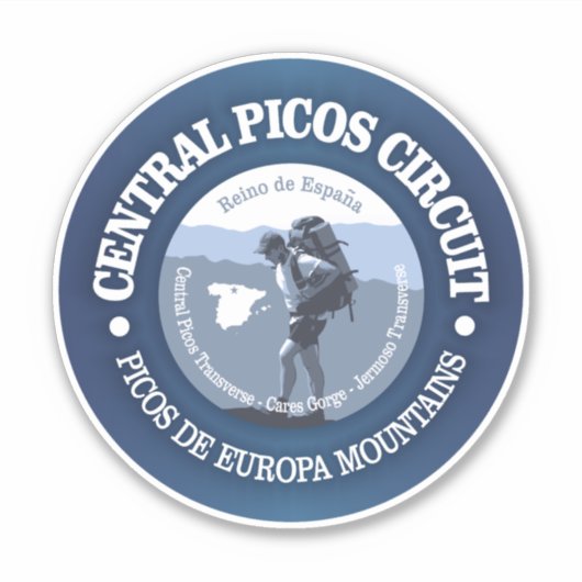 セントラル・ピコス回路(BG) シール (正面)