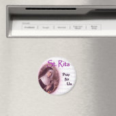 セントリタ磁石 マグネット (インサイチュ (食洗機))