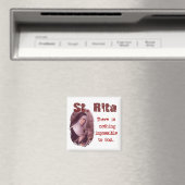 セントリタ マグネット (インサイチュ (食洗機))