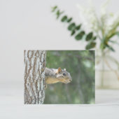 "セントリー" リス ポストカード (スタンド正面)