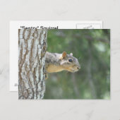 "セントリー" リス ポストカード (正面/裏面)