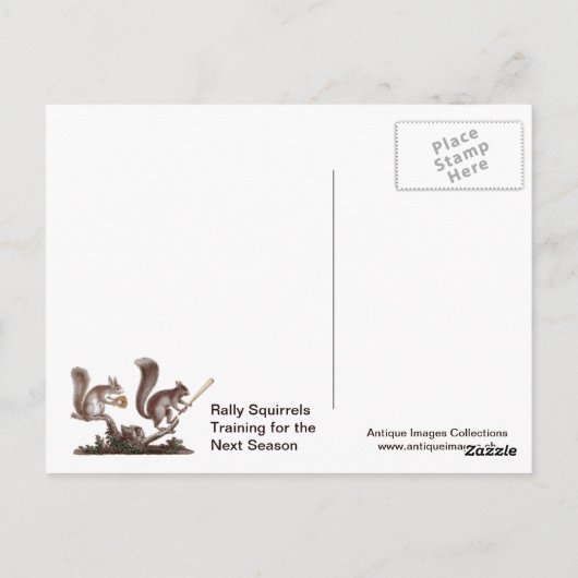 セントルイスからのNuts Rally Squirrelの挨拶! ポストカード (裏面)
