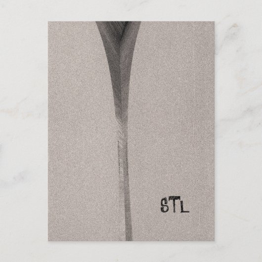 セントルイスアーチ ポストカード (正面)