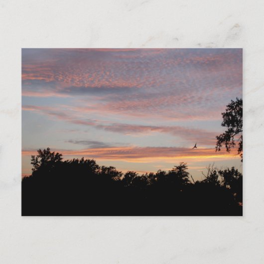 セントルイスサンセット ポストカード (正面)