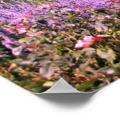 セントルイス動物園 ポスター (角)