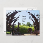 セントルイス動物園 ポストカード (正面/裏面)