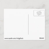 セントルイス動物園 ポストカード (裏面)