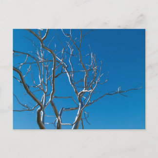 セントルイス美術館彫刻 ポストカード