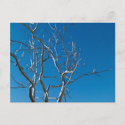 セントルイス美術館彫刻 ポストカード (正面)