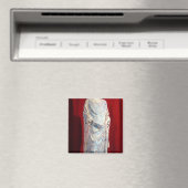 セントルイス マグネット (インサイチュ (食洗機))